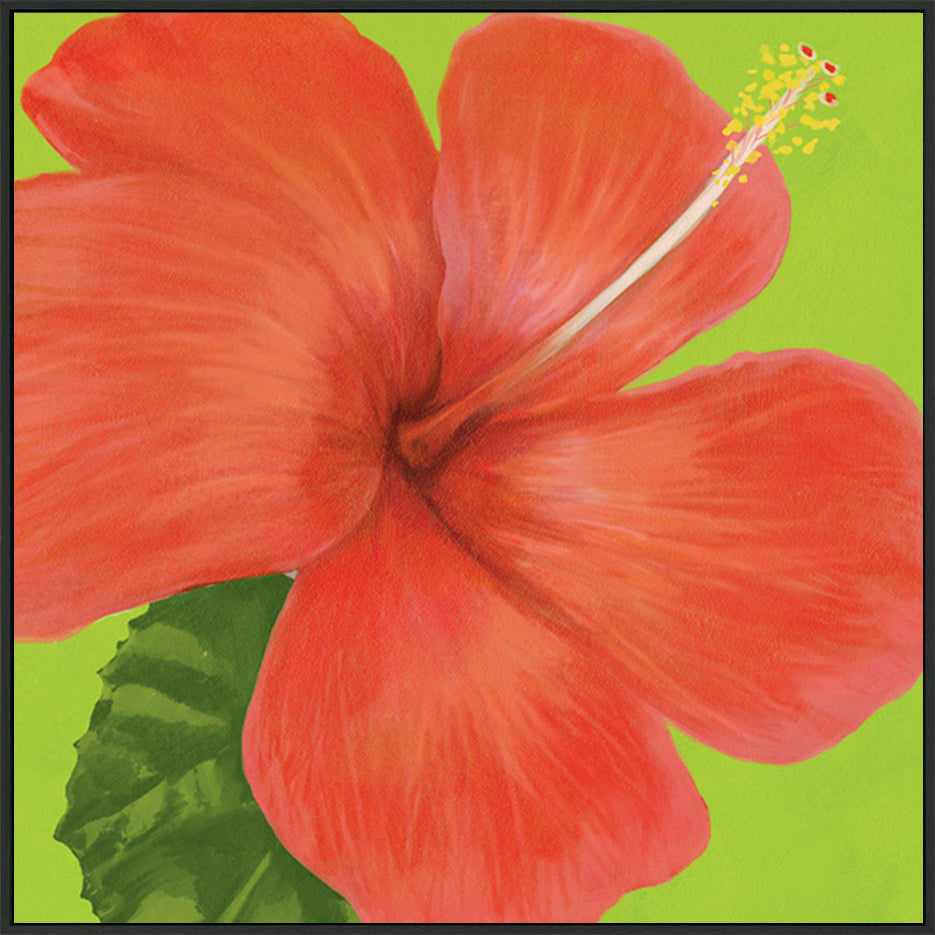 canvas_frame