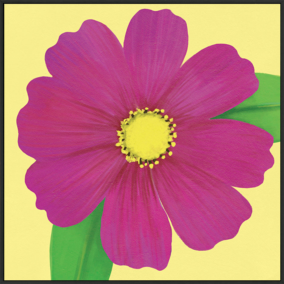 canvas_frame