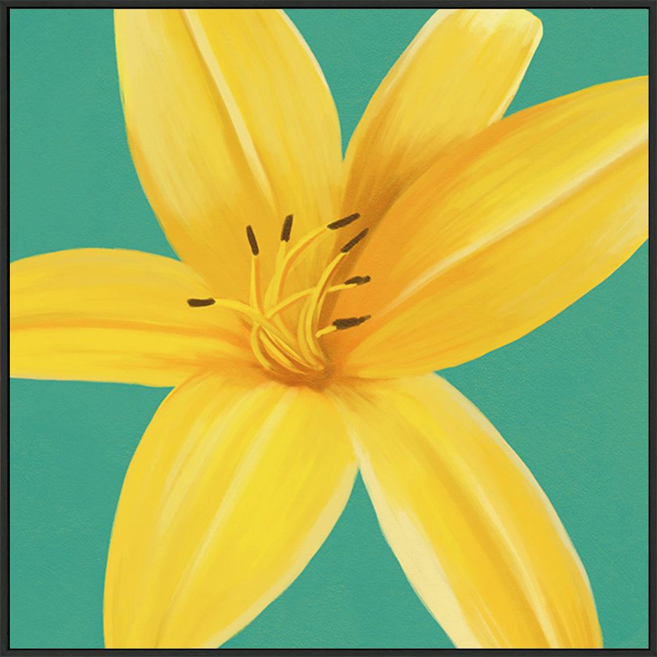 canvas_frame