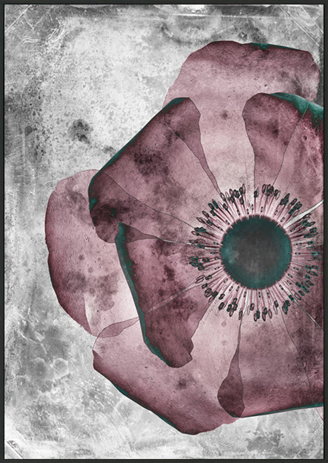canvas_frame