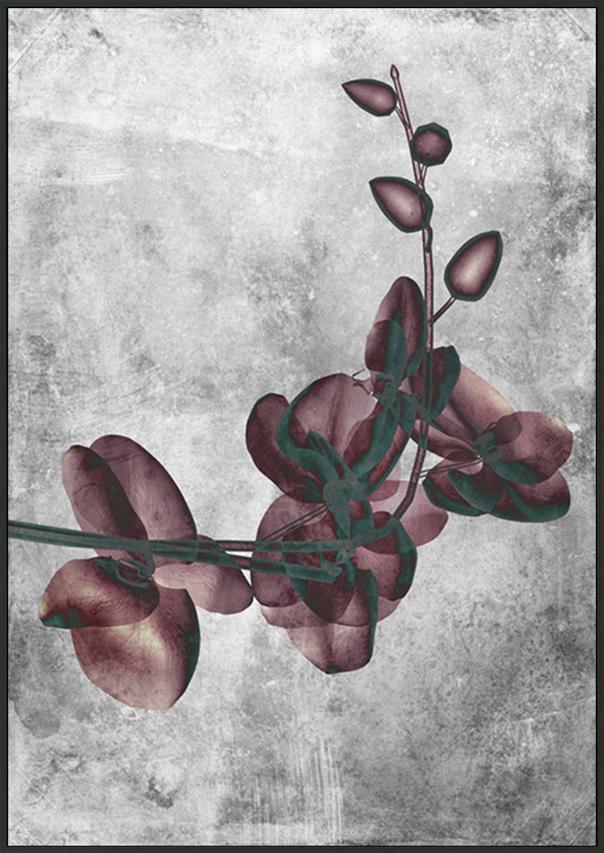 canvas_frame