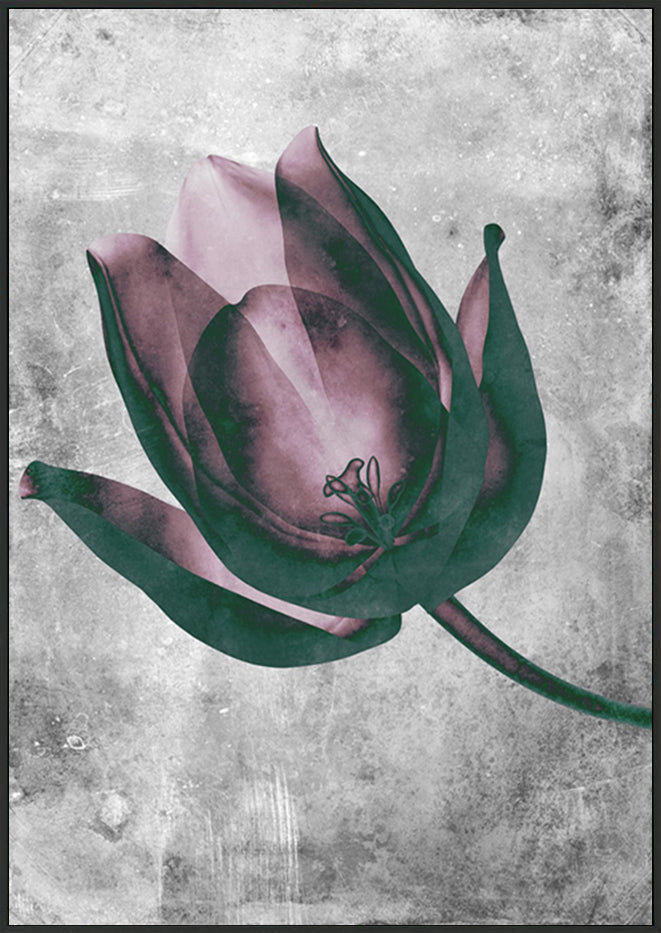 canvas_frame