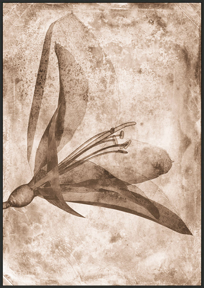 canvas_frame