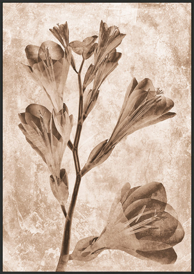 canvas_frame