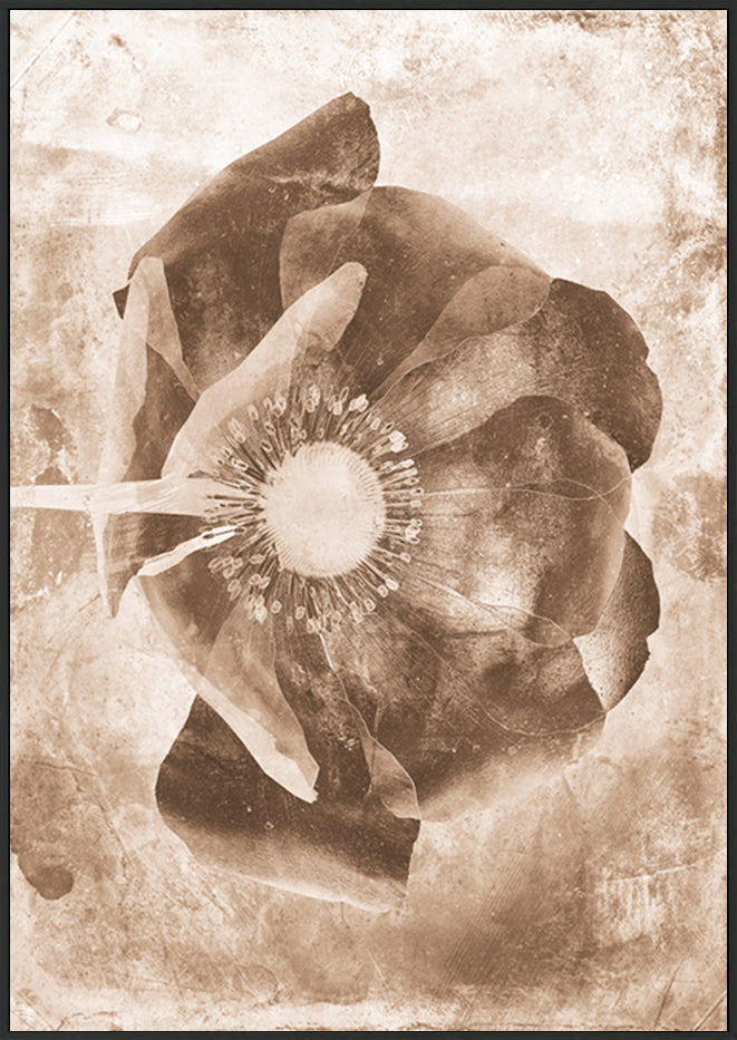 canvas_frame