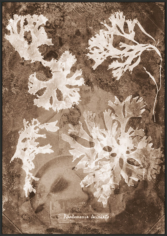 canvas_frame