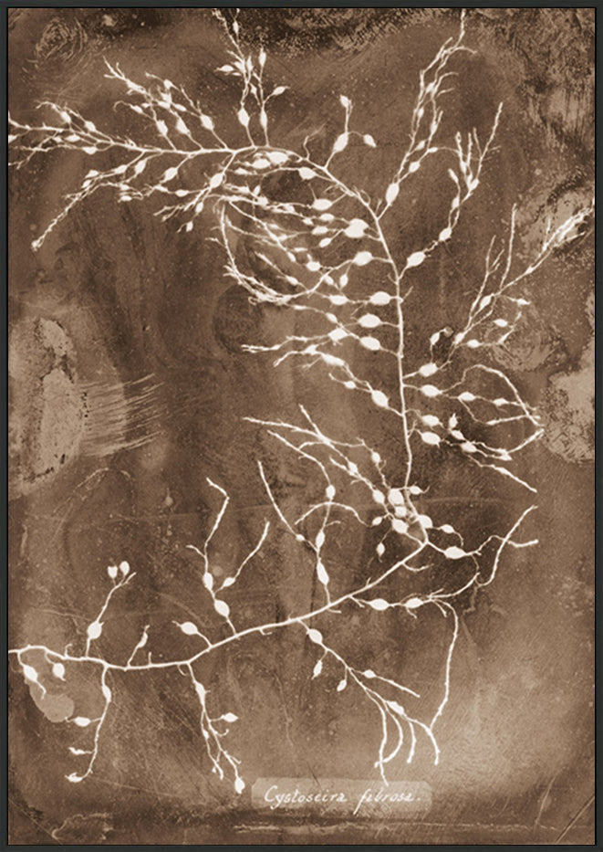 canvas_frame