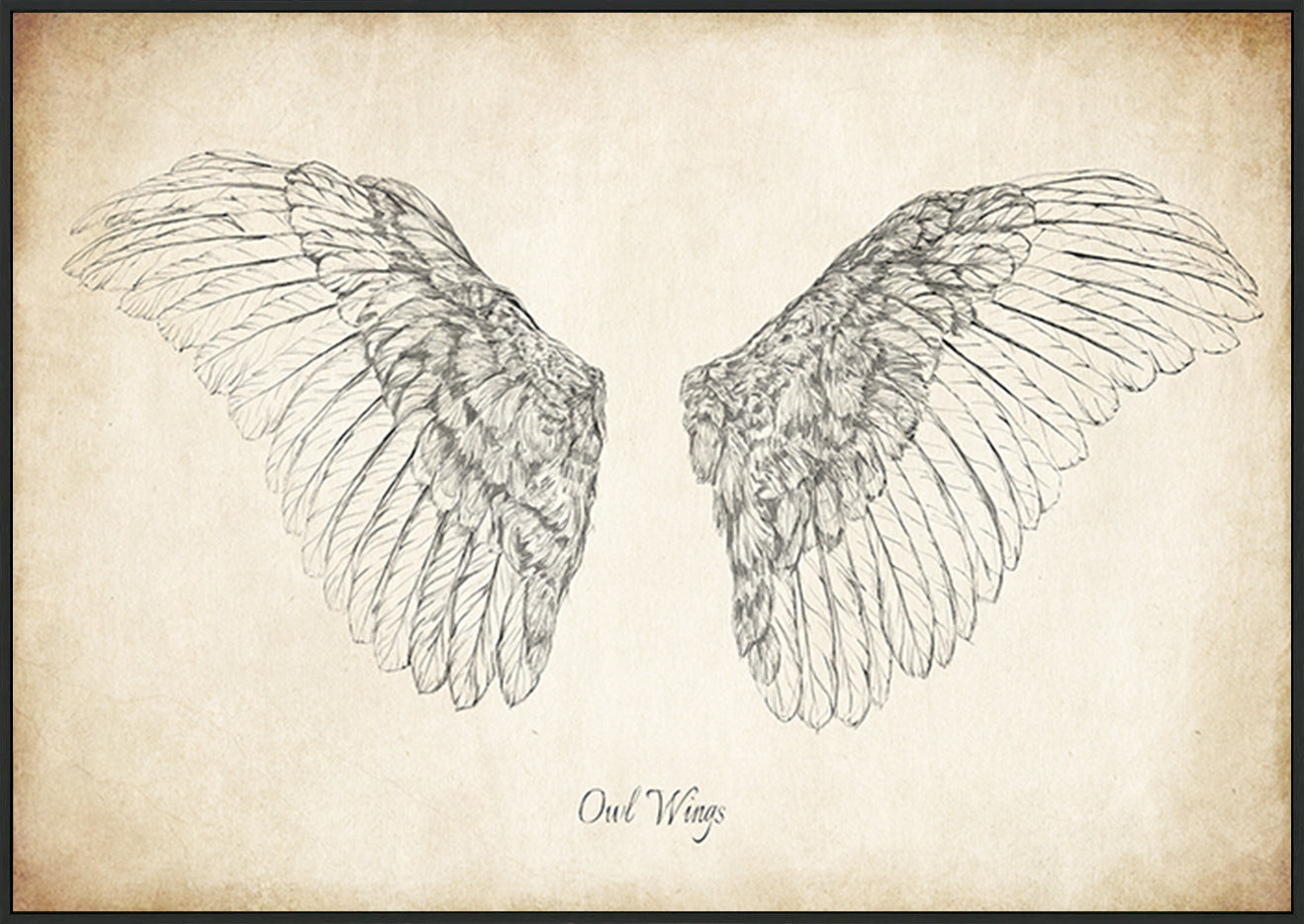 canvas_frame