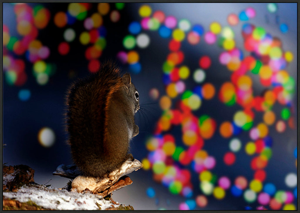 canvas_frame