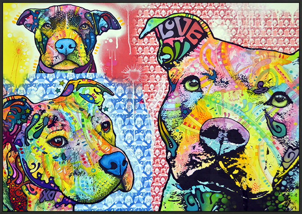 canvas_frame