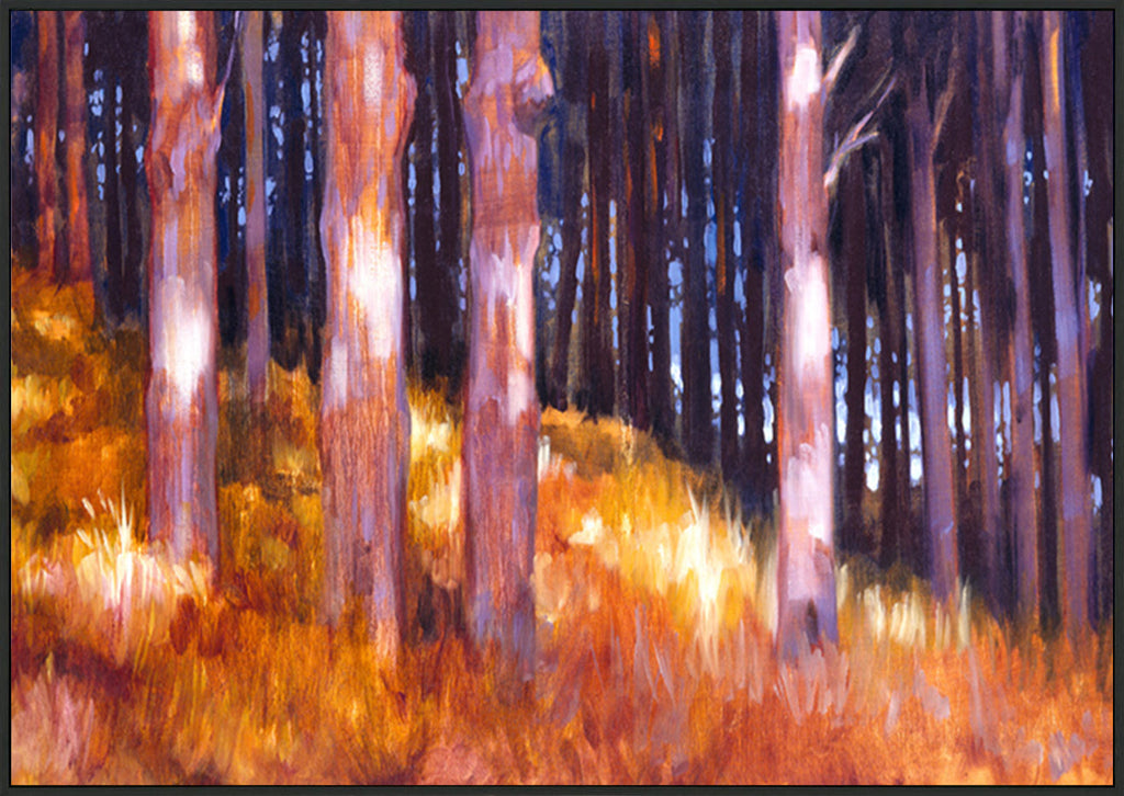 canvas_frame