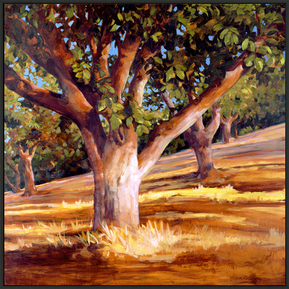 canvas_frame