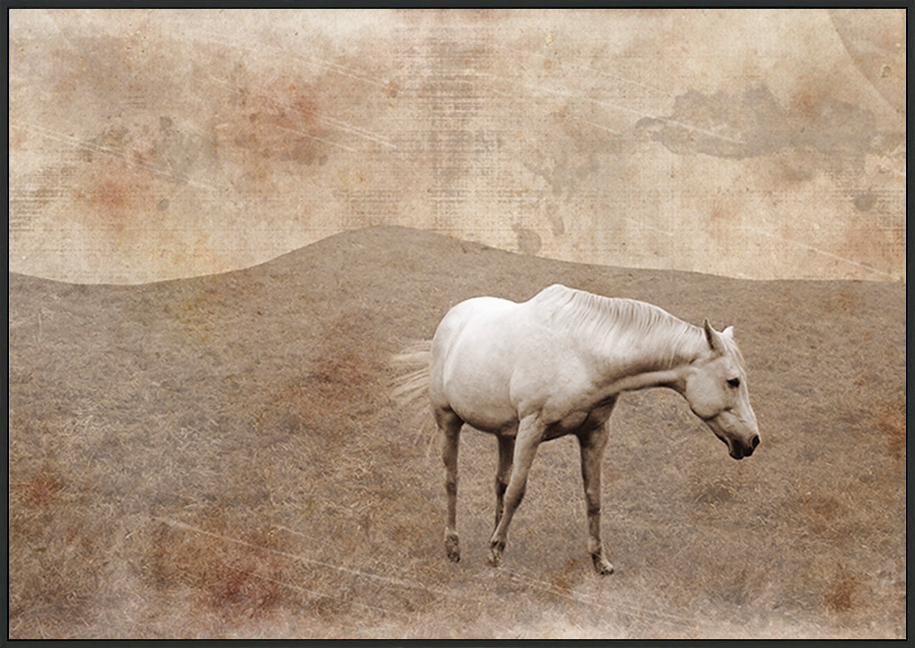 canvas_frame