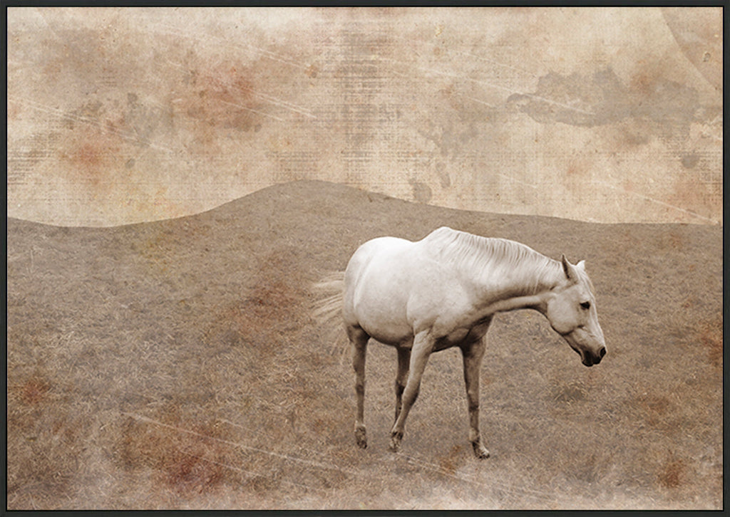 canvas_frame
