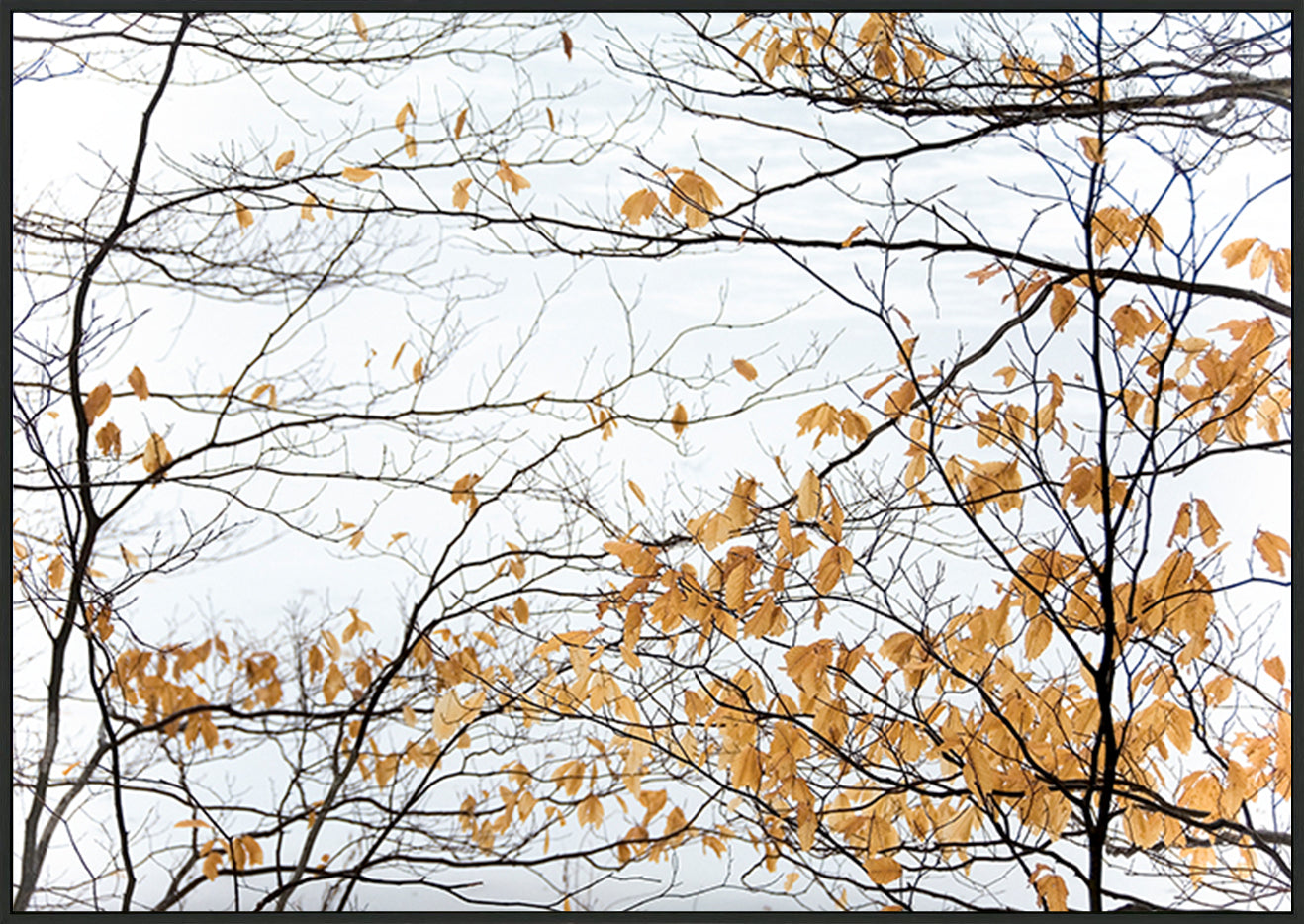 canvas_frame
