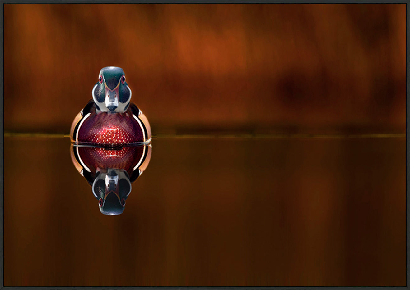 canvas_frame