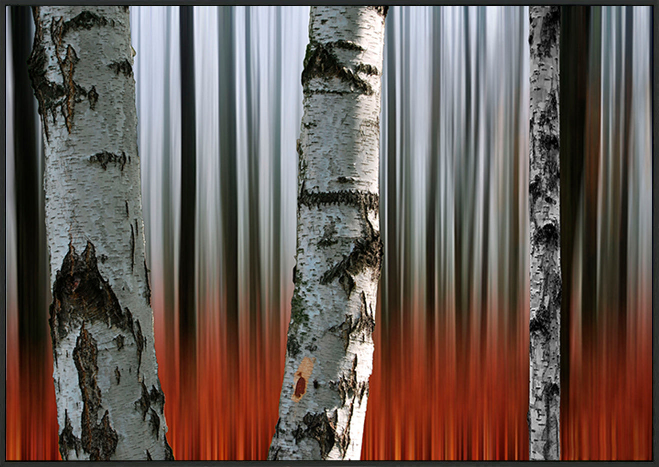 canvas_frame