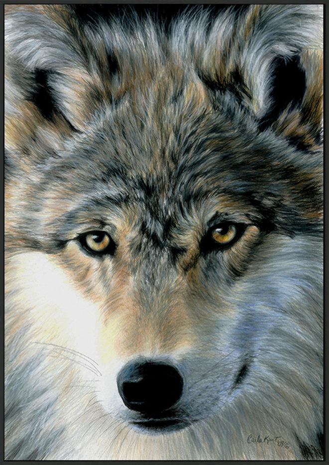 canvas_frame