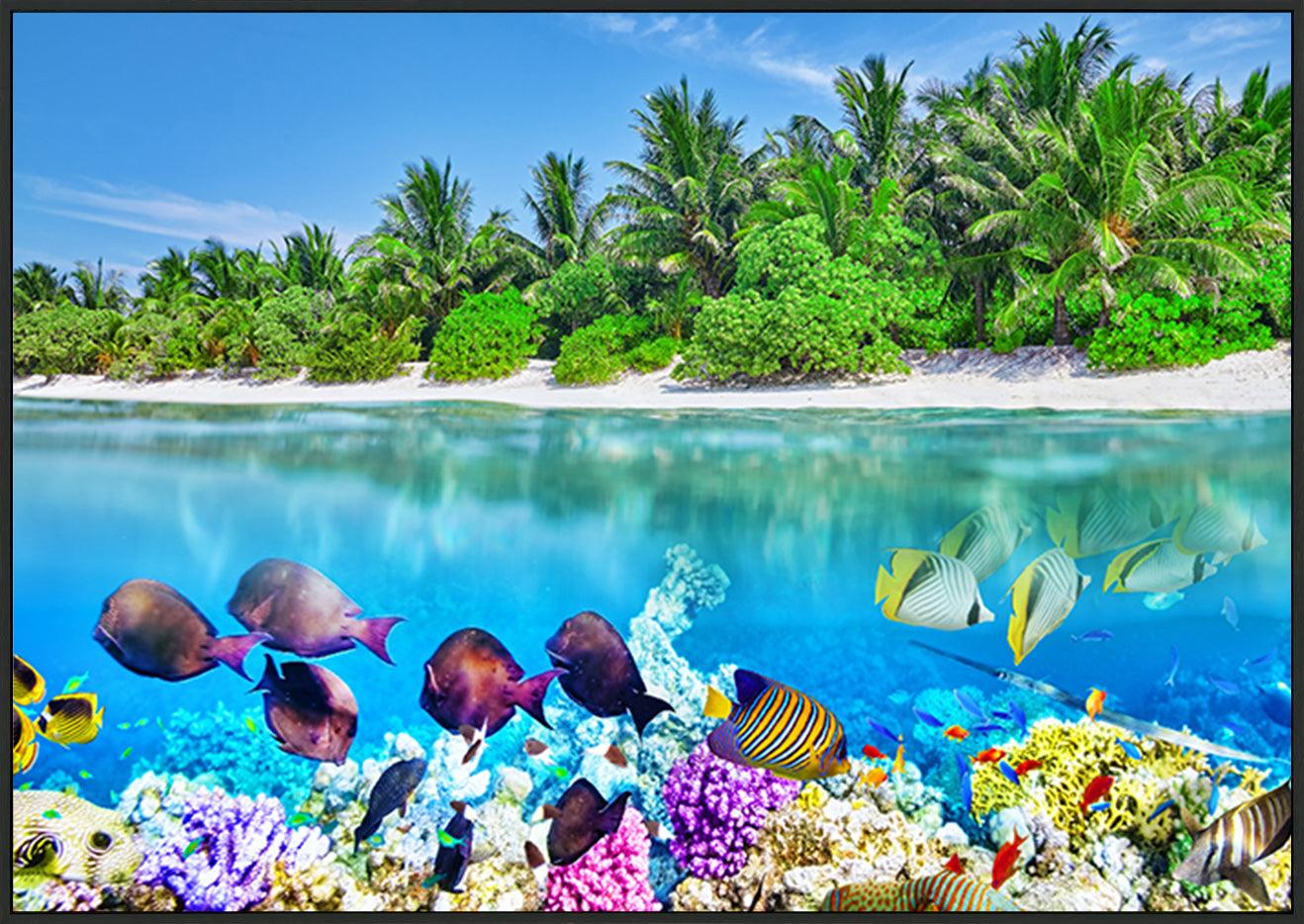 a17842819 Tropical Island And The Underwater World In The Maldives copy. Thoddoo Island - ArtFramed