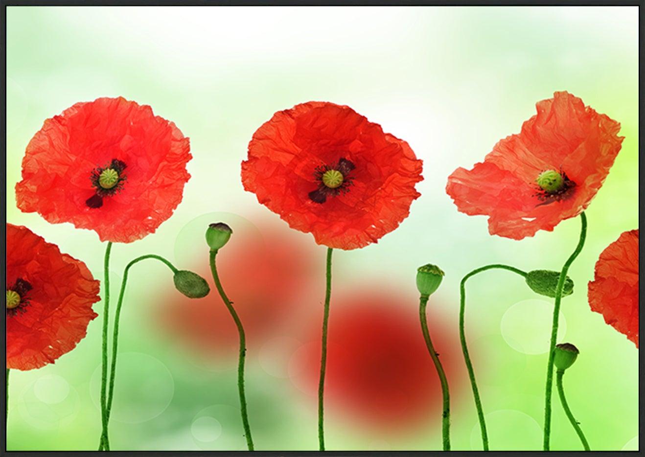 a2563057b Poppies copy - ArtFramed