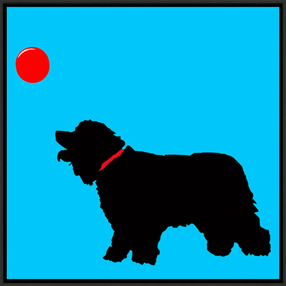 canvas_frame