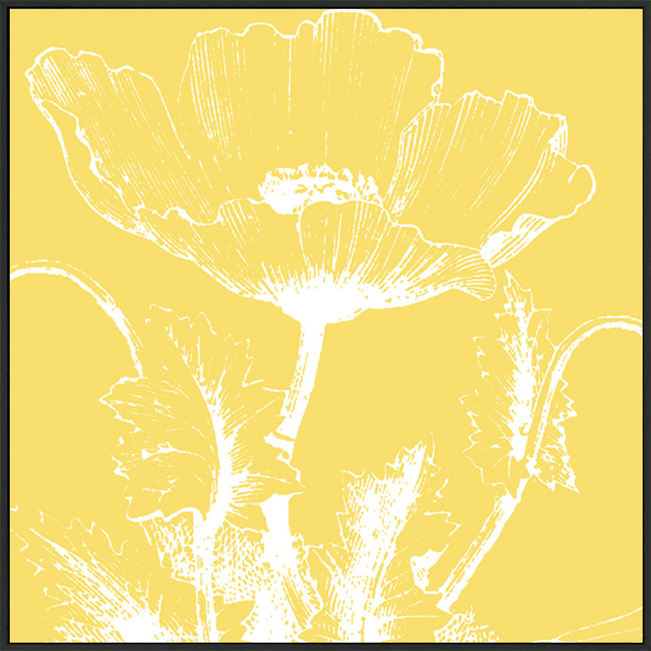 canvas_frame