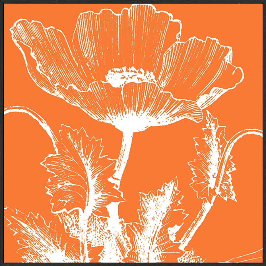 canvas_frame