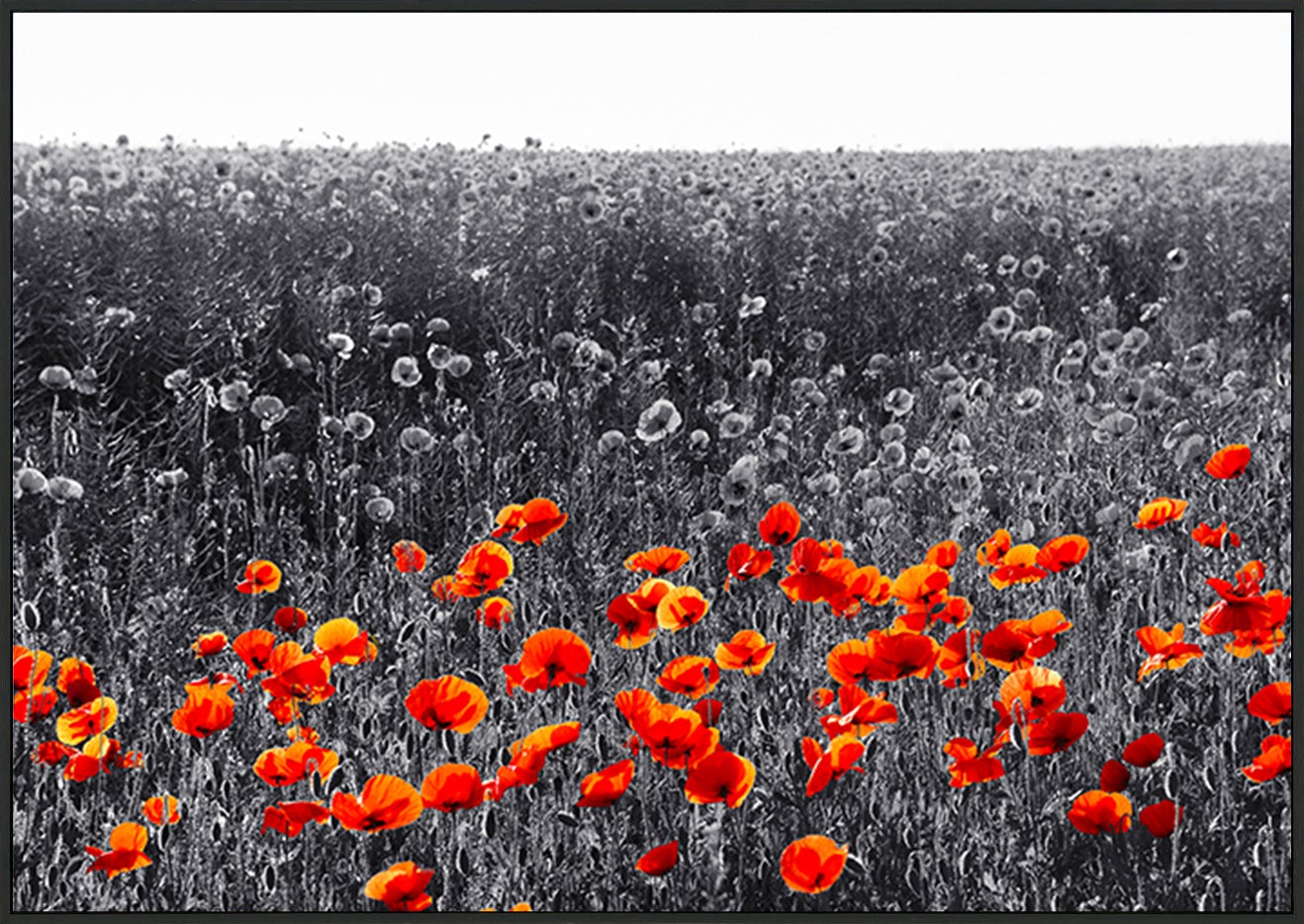 canvas_frame