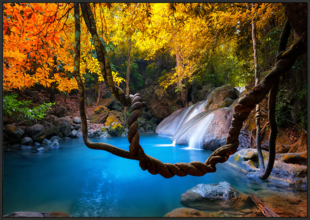 canvas_frame