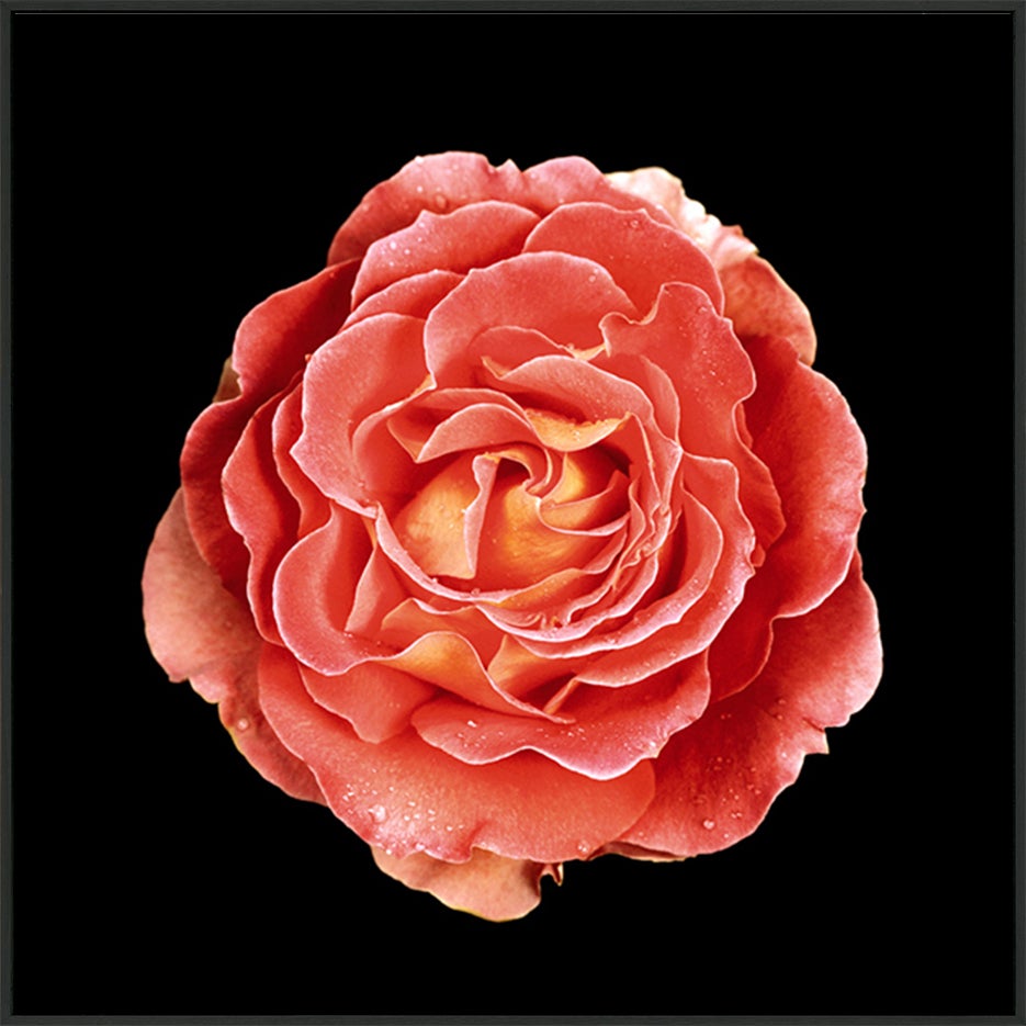 canvas_frame