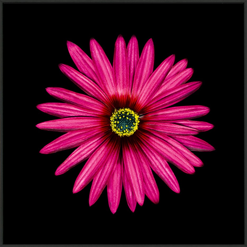 canvas_frame