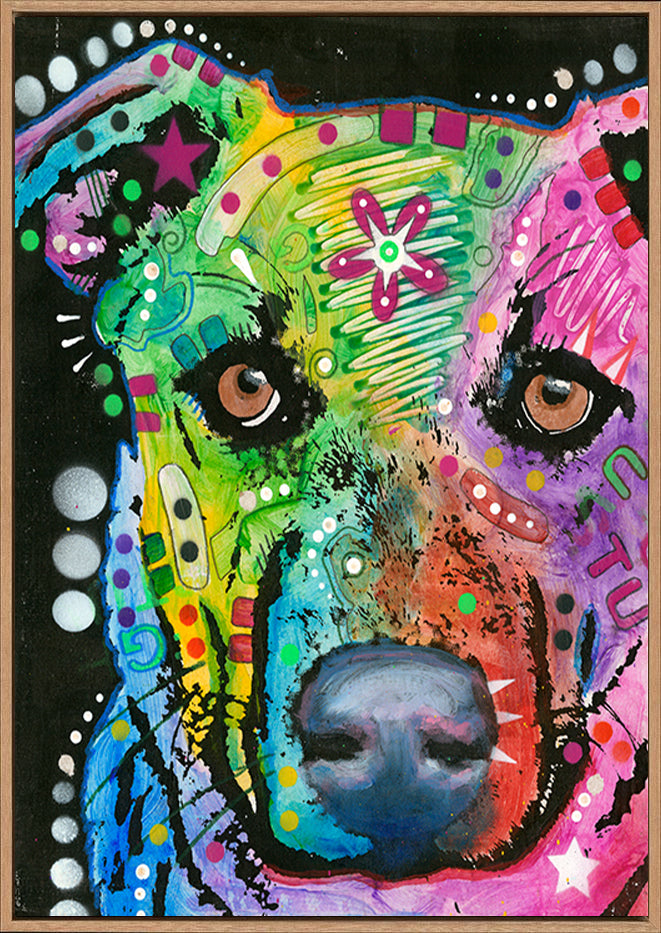 canvas_frame
