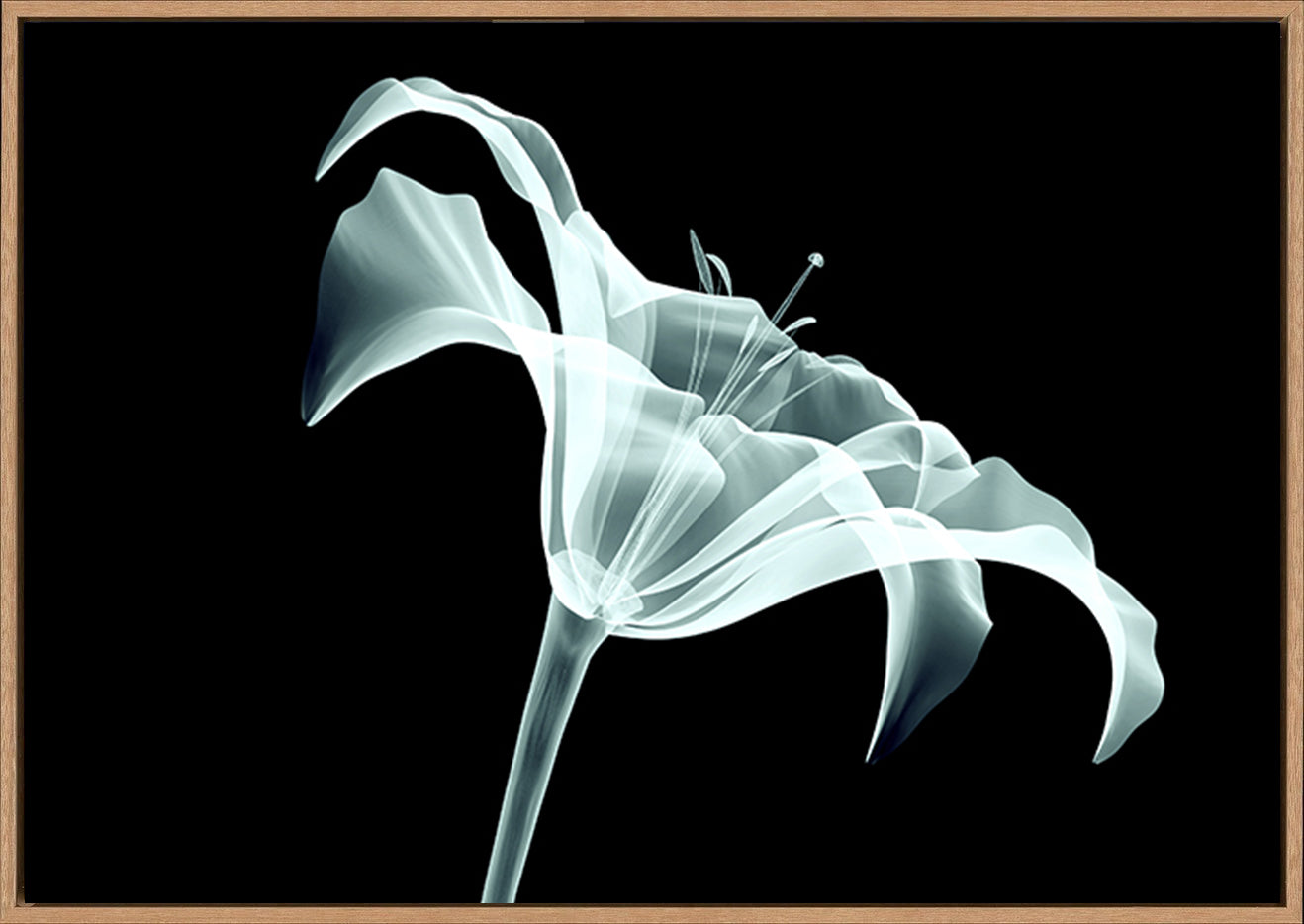 canvas_frame