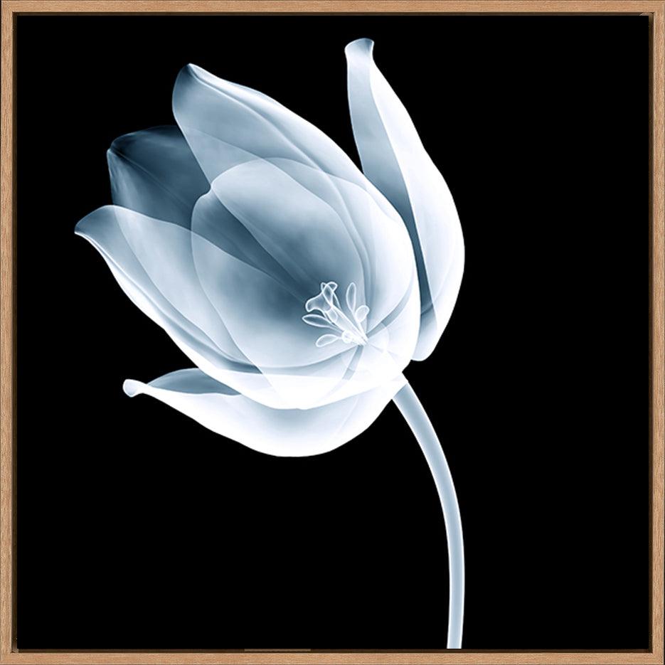 canvas_frame