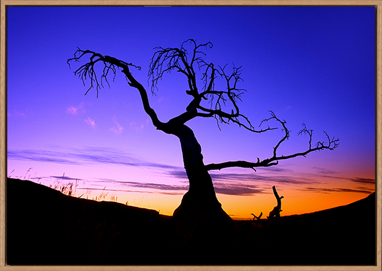 canvas_frame