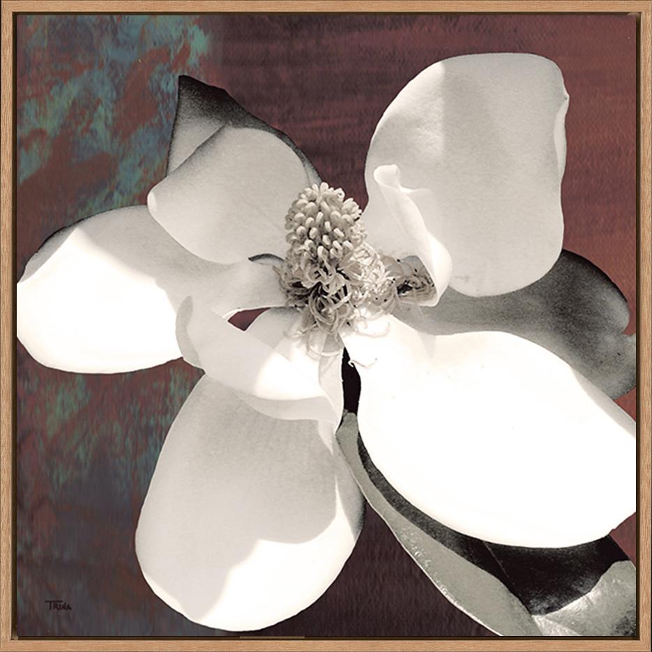 canvas_frame