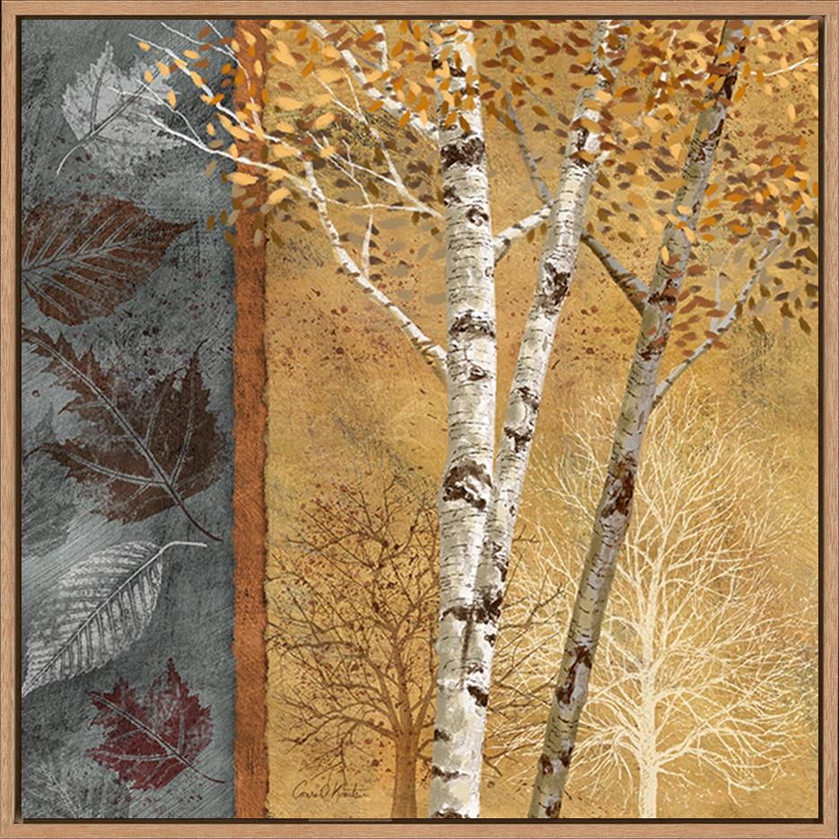 canvas_frame