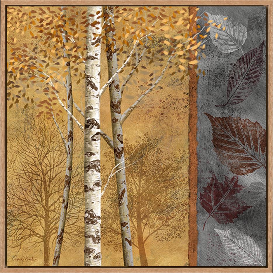 canvas_frame
