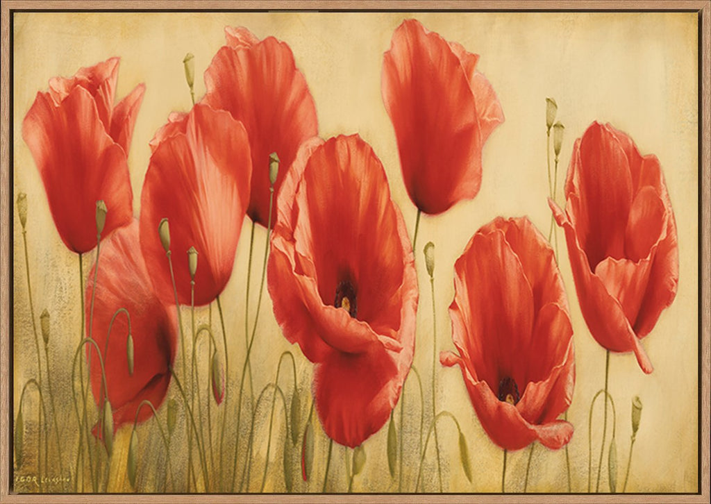 canvas_frame