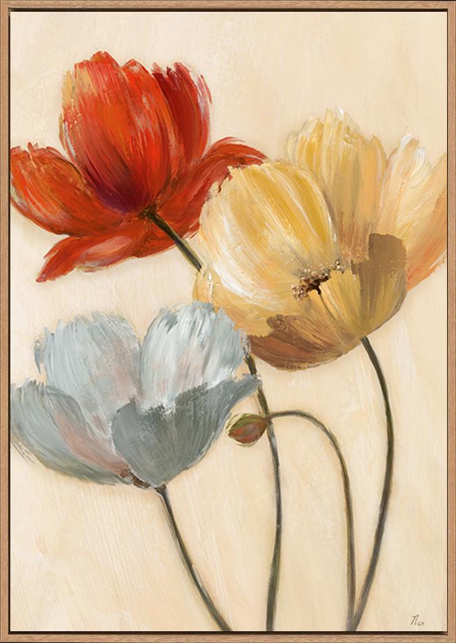 canvas_frame