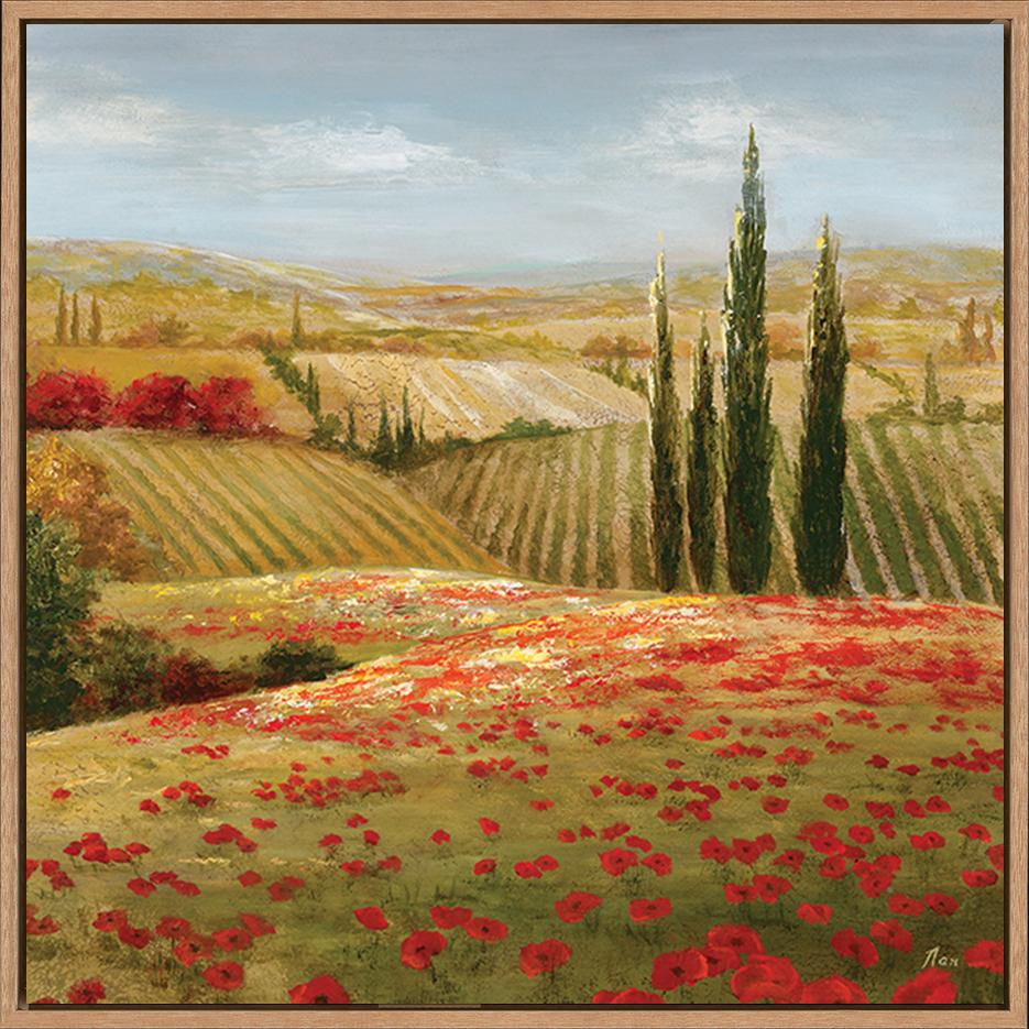 canvas_frame