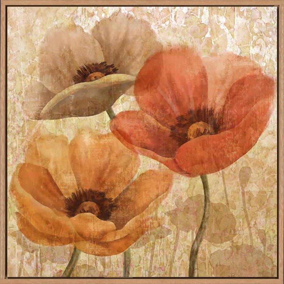 canvas_frame