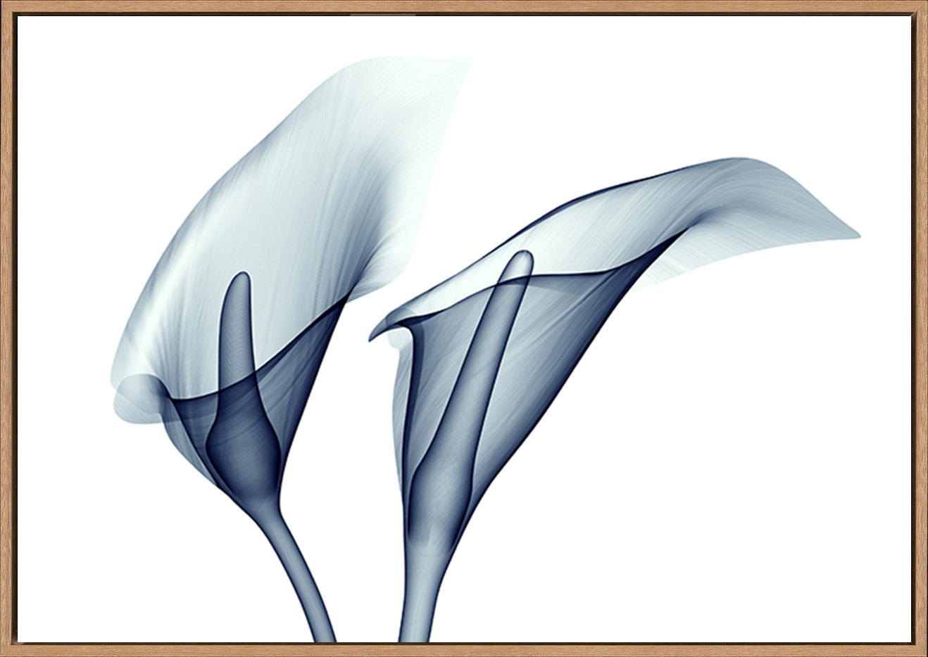 canvas_frame