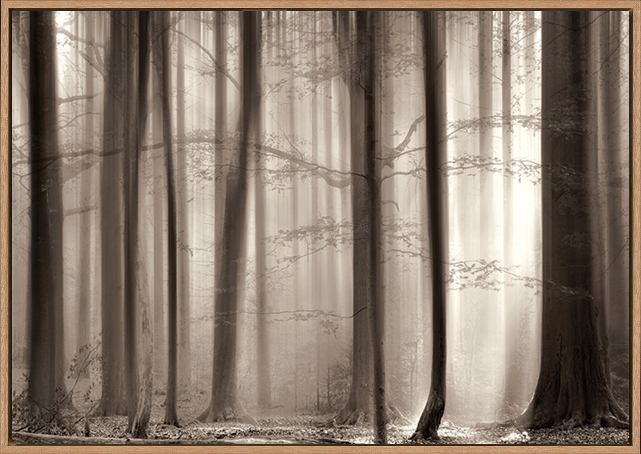 canvas_frame