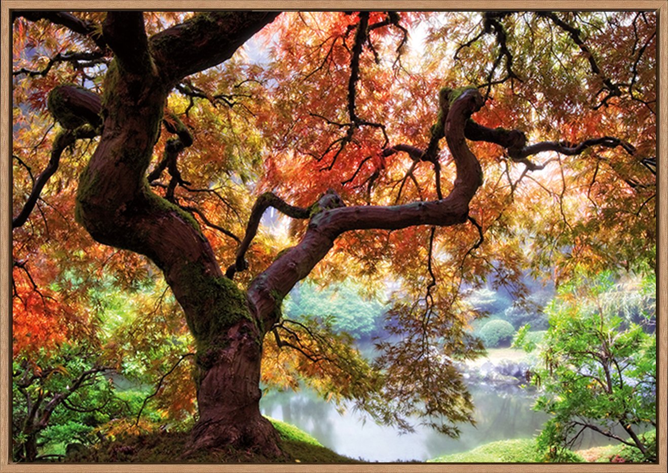 canvas_frame