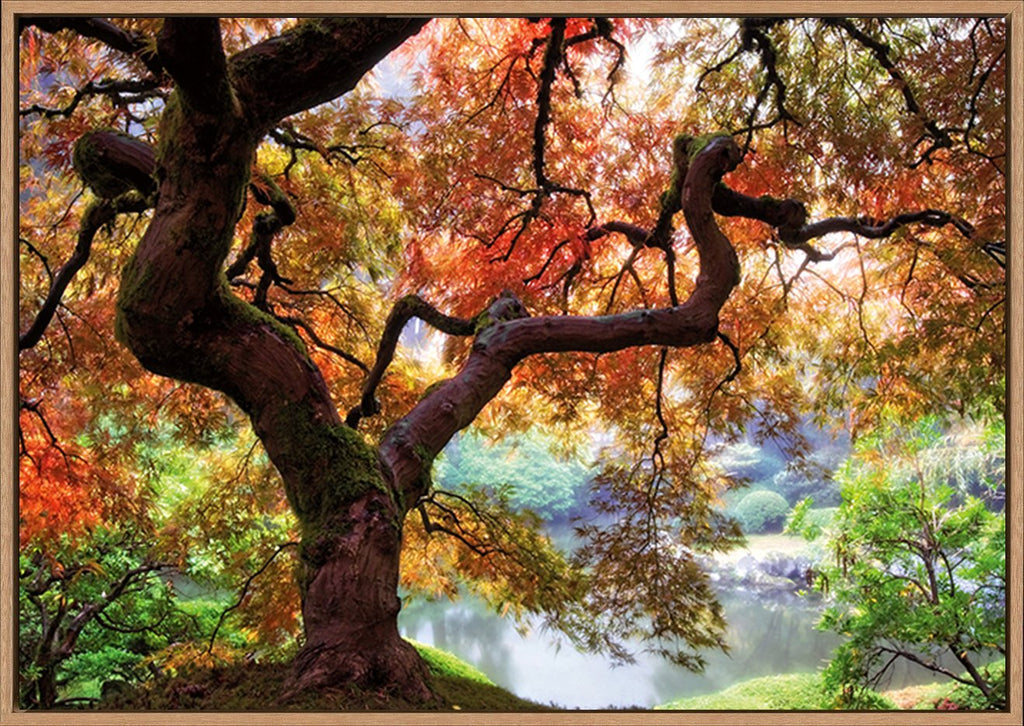 canvas_frame