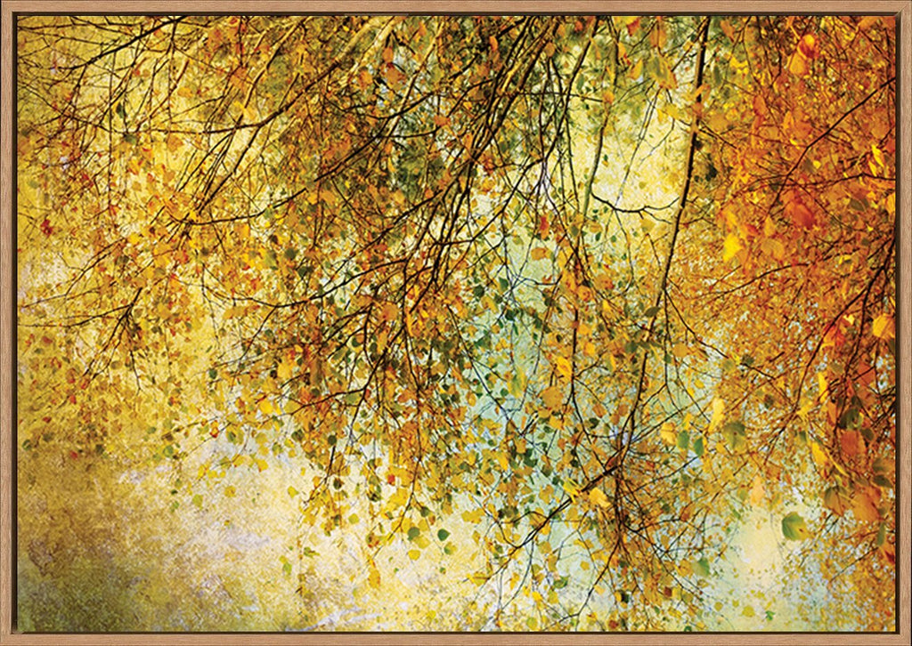 canvas_frame