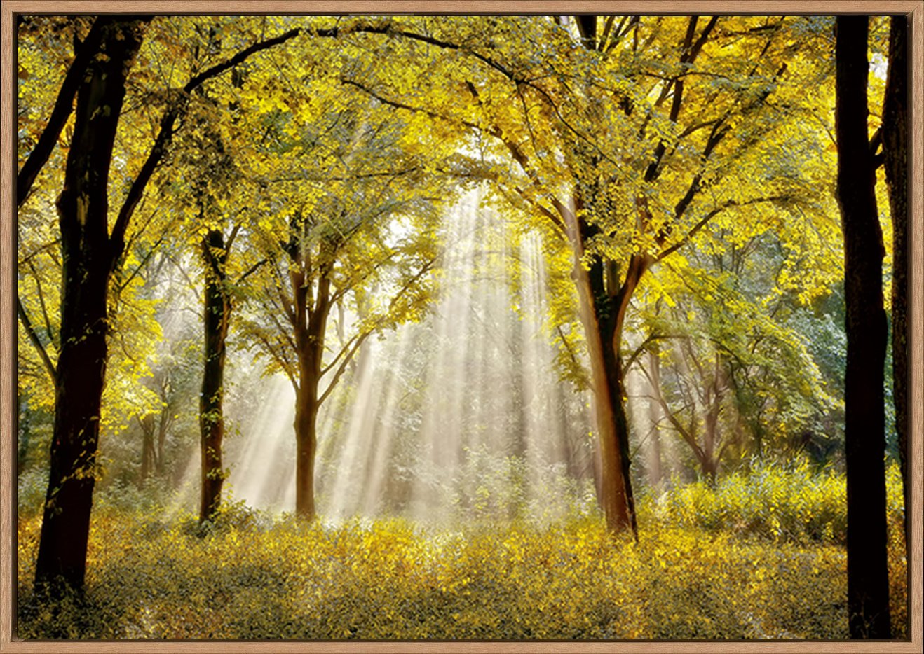 canvas_frame