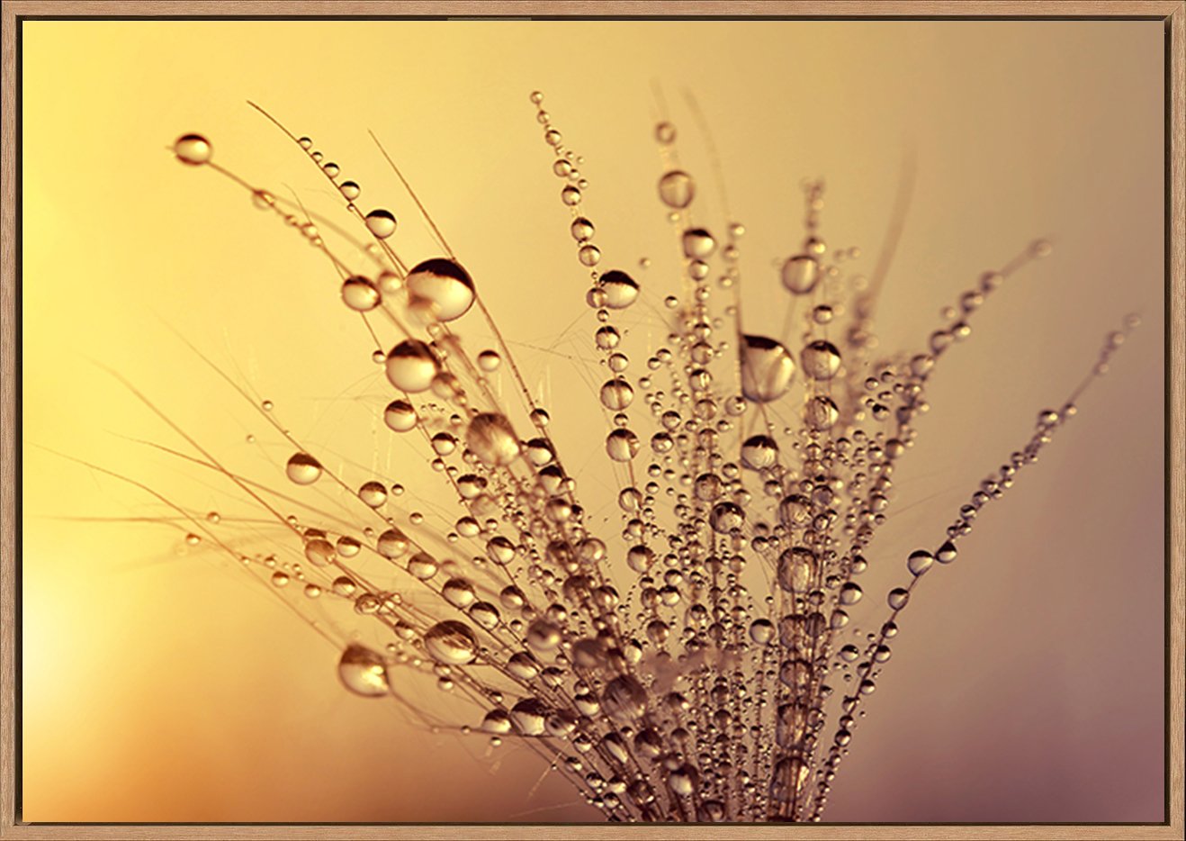 canvas_frame