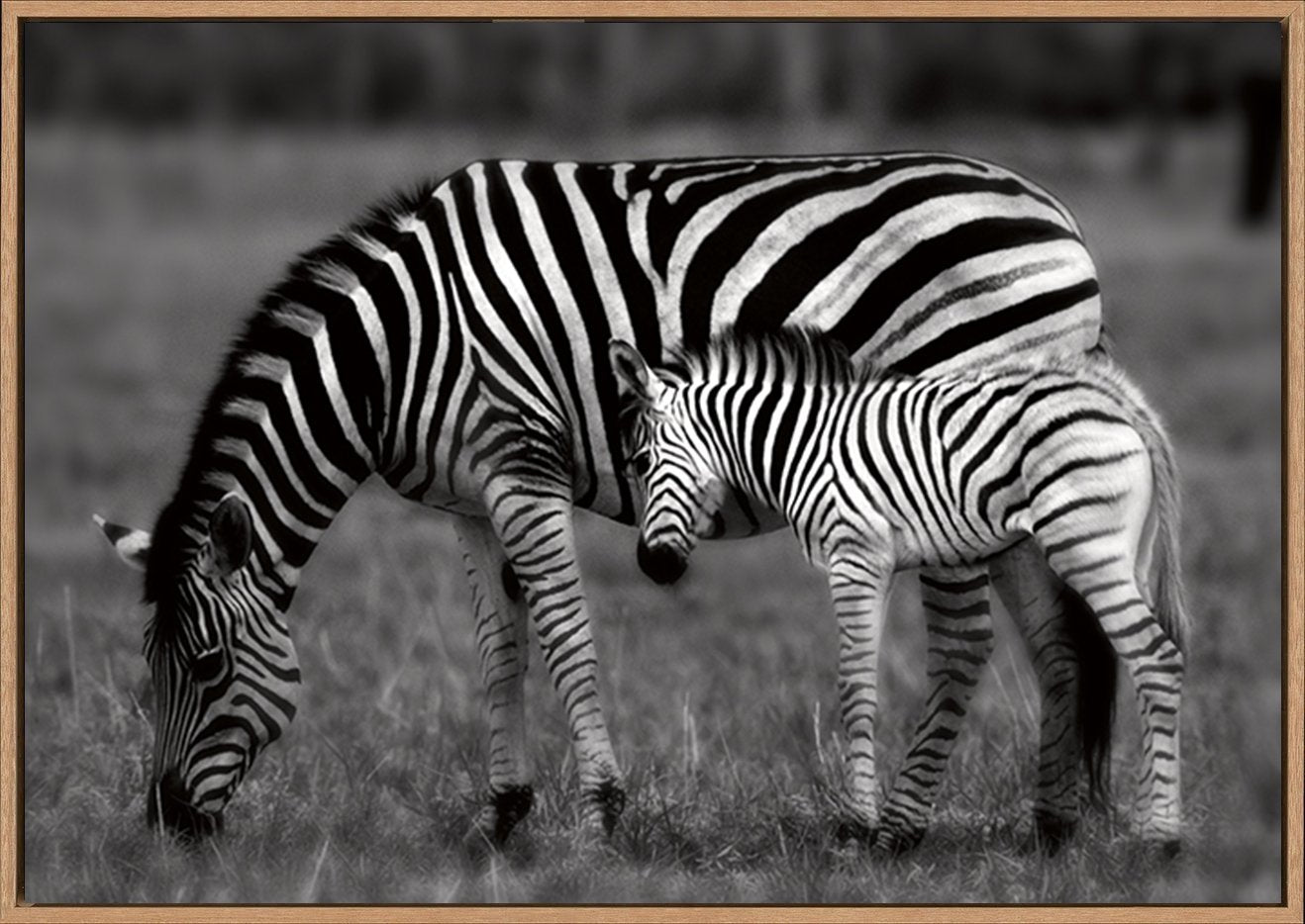 canvas_frame